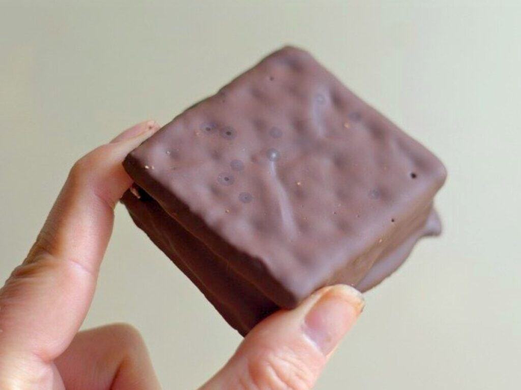 A hand holds a square chocolate-covered treat with a textured surface against a plain background, reminiscent of classic s'mores cookies.