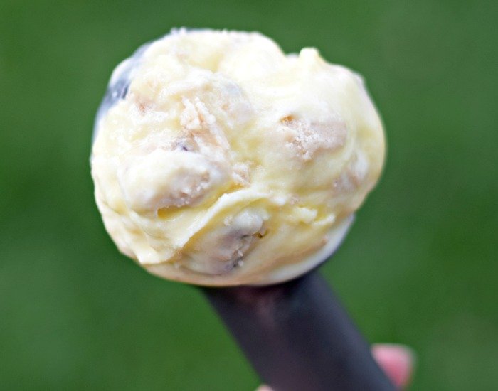 Scoop of homemade cookie dough frozen custard