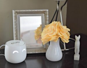 CUJO Smart Firewall in home