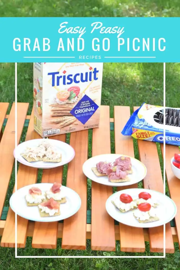 Enjoy a grab and go picnic with these simple sandwich recipes everyone will love this summer
