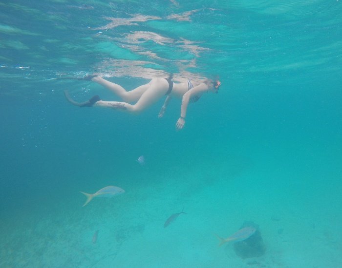 Beaches Resorts Snorkeling