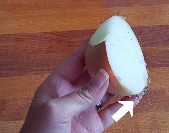 Onion sliced in half