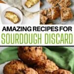 more sourdough starter recipe examples