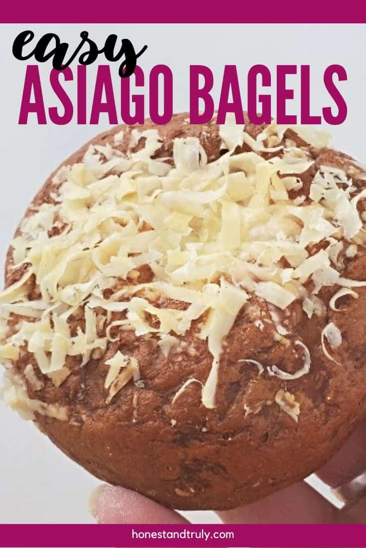 Single asiago cheese bagel