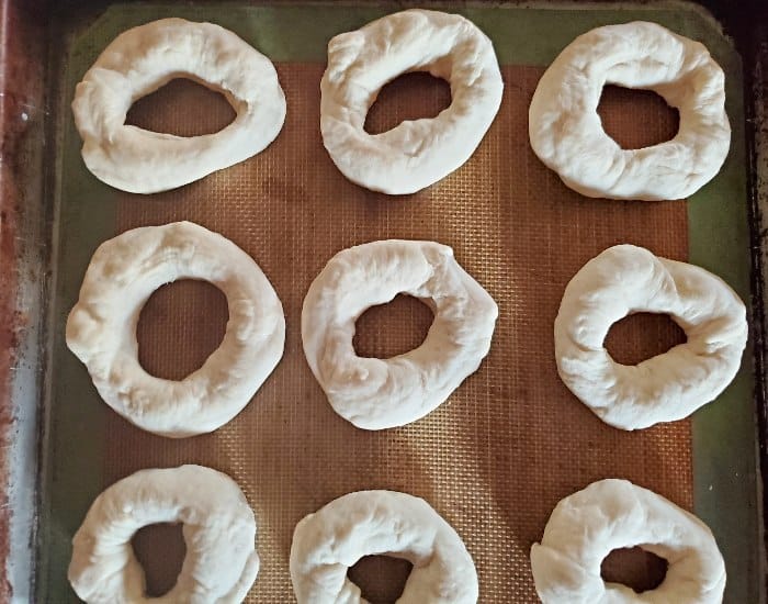 Formed bagels ready to rise
