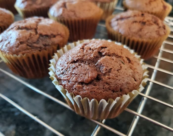 Freshly baked chocolate muffin