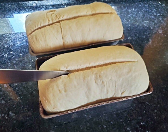 Slash the tops of the dough