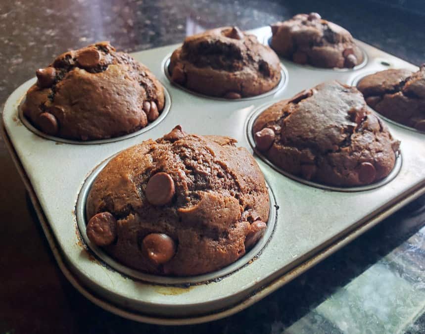 Just baked muffins in the tin