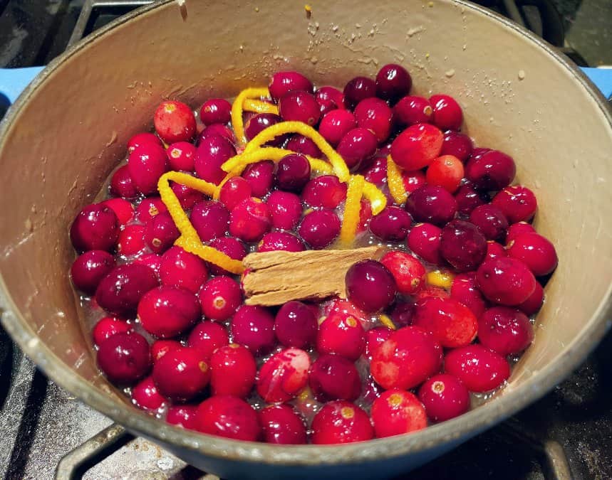 Cinnamon stick in with the cranberries in a pot