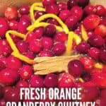 Closeup of cranberry relish ingredients
