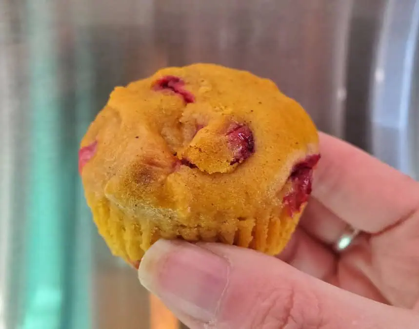 Holding a carrot cranberry muffin
