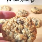 Holding an oatmeal cranberry cookie with others in the background