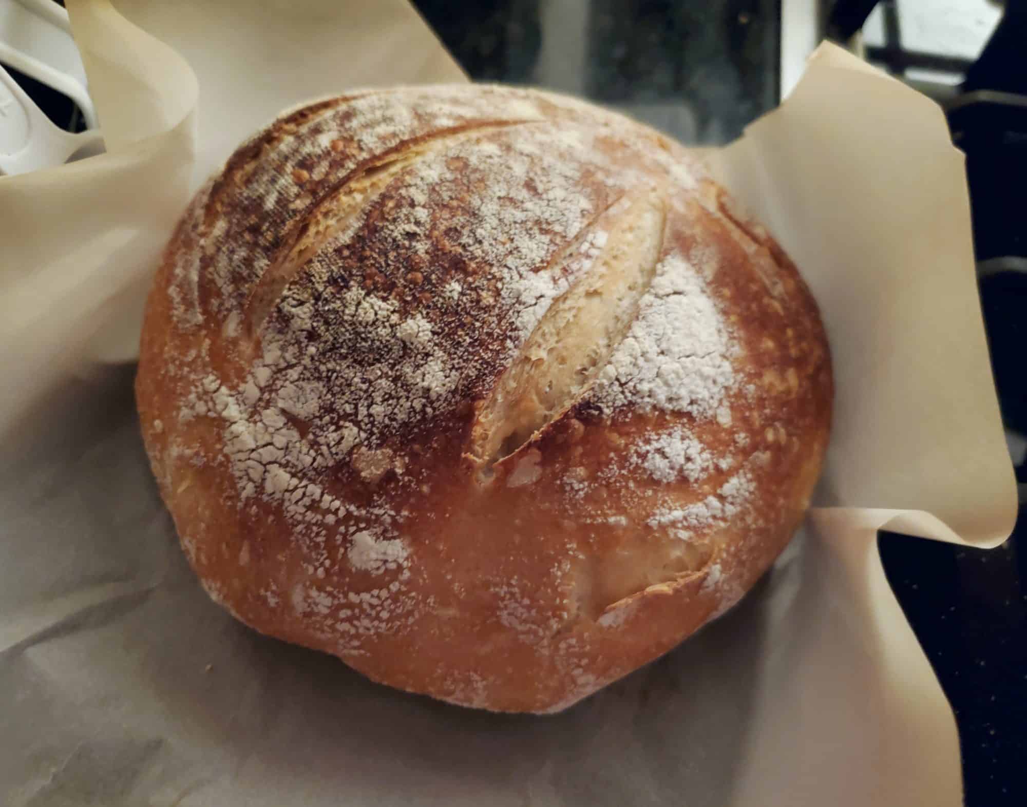 Loaf of fresh baked sourdough bread sitting on parchment