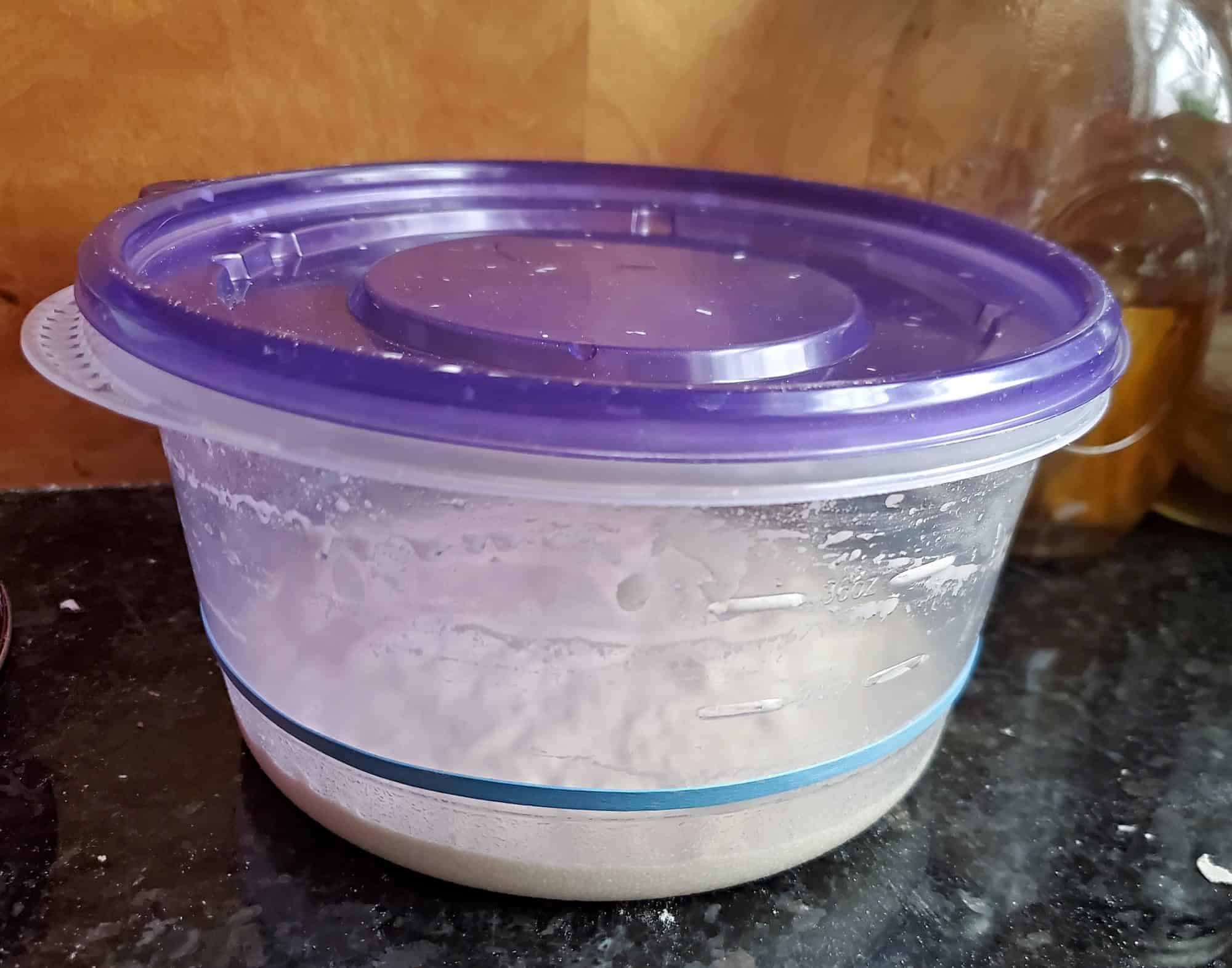 Sourdough starter in a container on a counter.