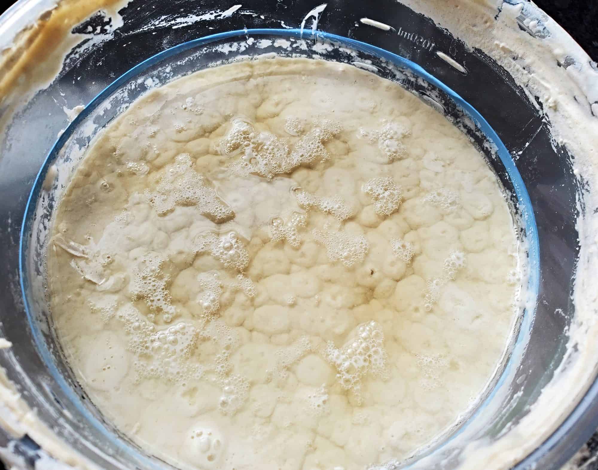 Sourdough starter with liquid released on top.