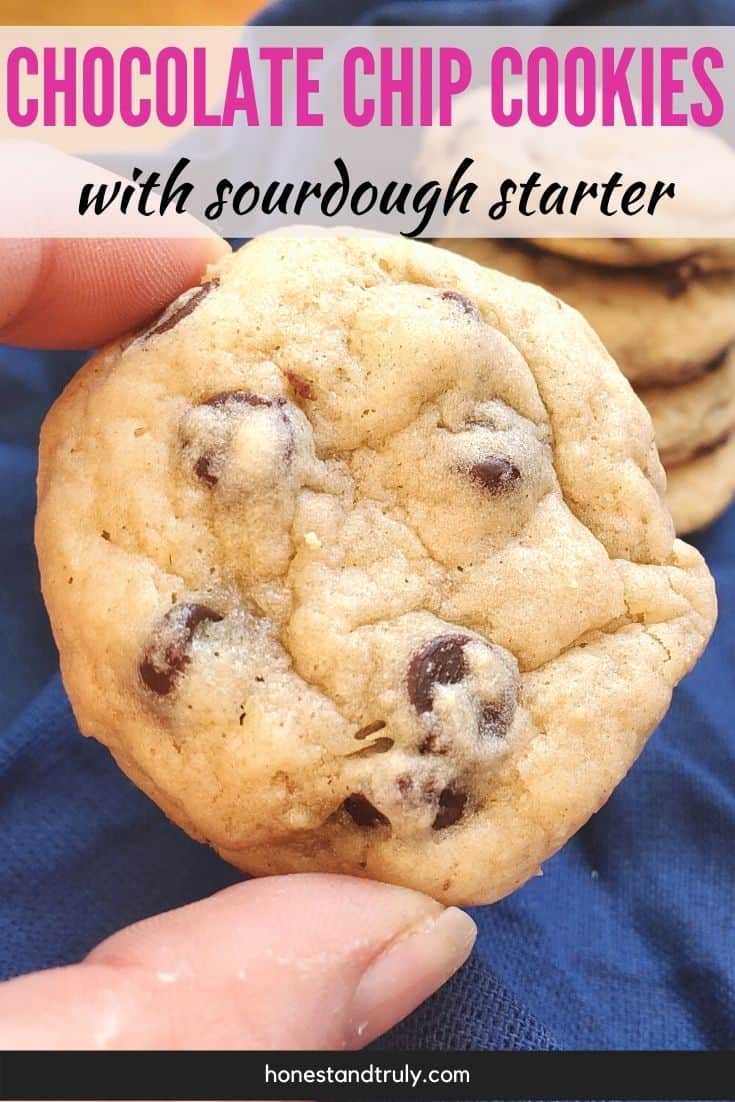Close up holding a chocolate chip cookie.