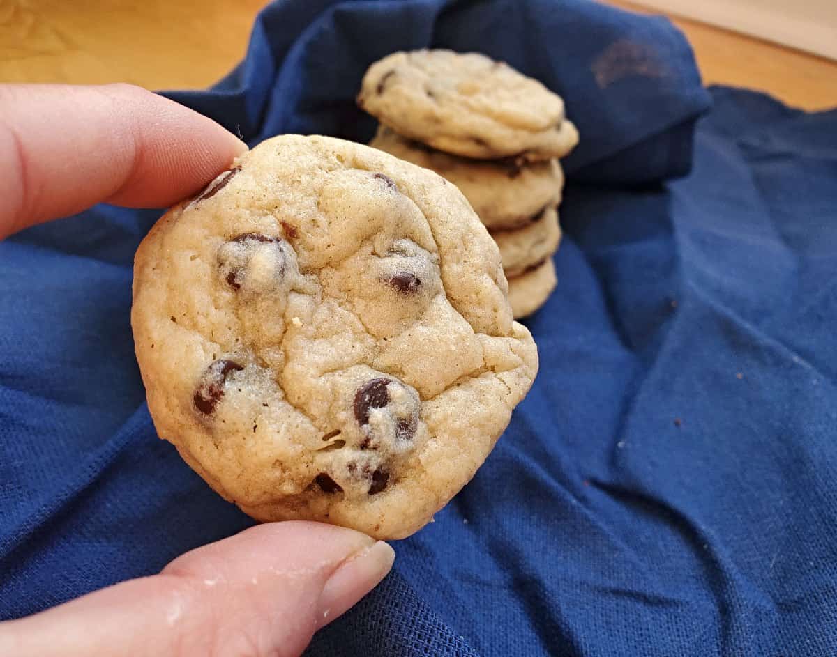 Holding a chocolate chip cookie with more cookies in a stack in the background.