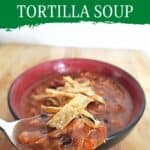 Spoon holding soup with a bowl in the background and text instant pot tortilla soup.