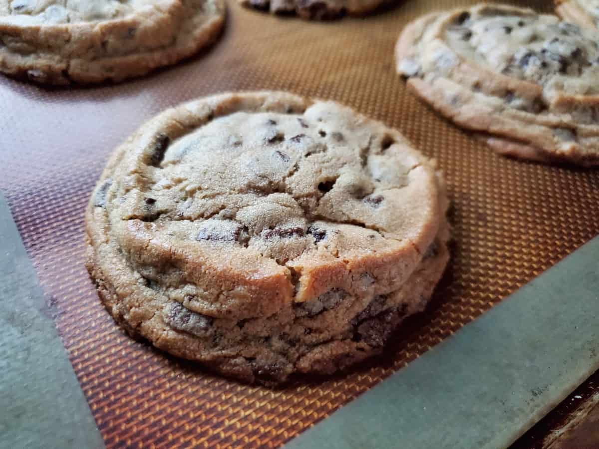 Wildgrain chocolate chip cookies on a silpat.