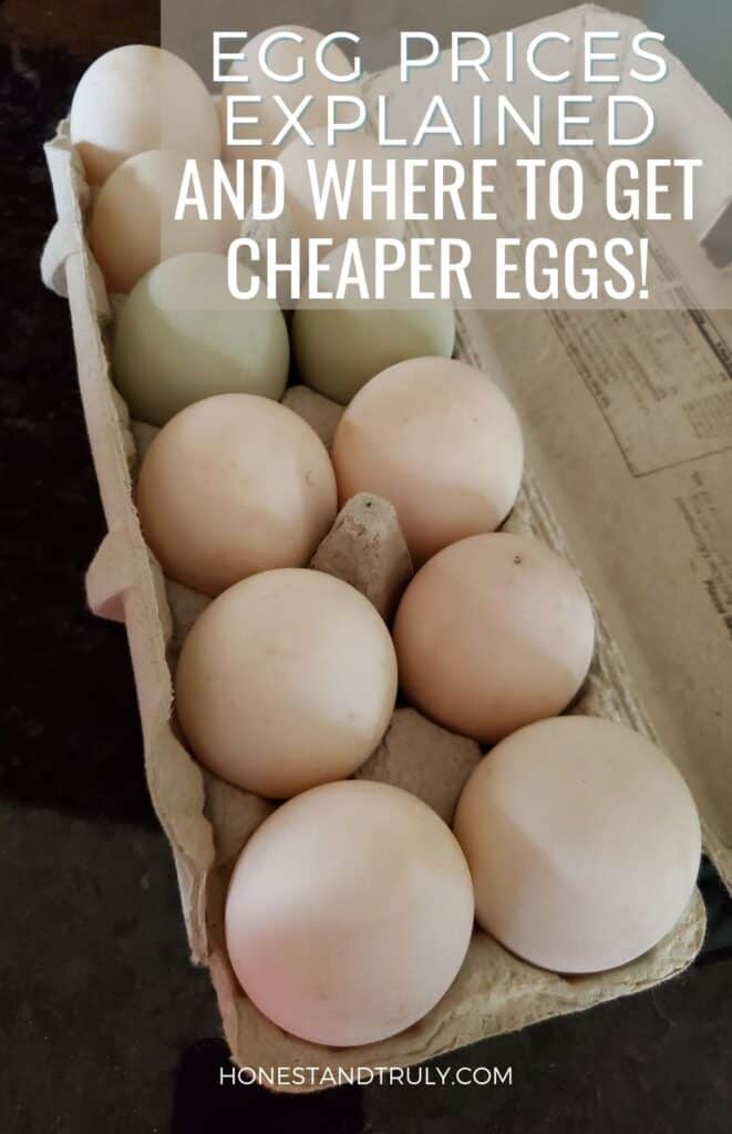 Overhead of a carton of backyard eggs with text egg prices explained and where to get cheaper eggs.