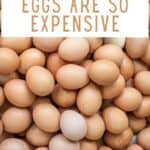 Overhead of a pile of brown eggs with text why eggs are so expensive.