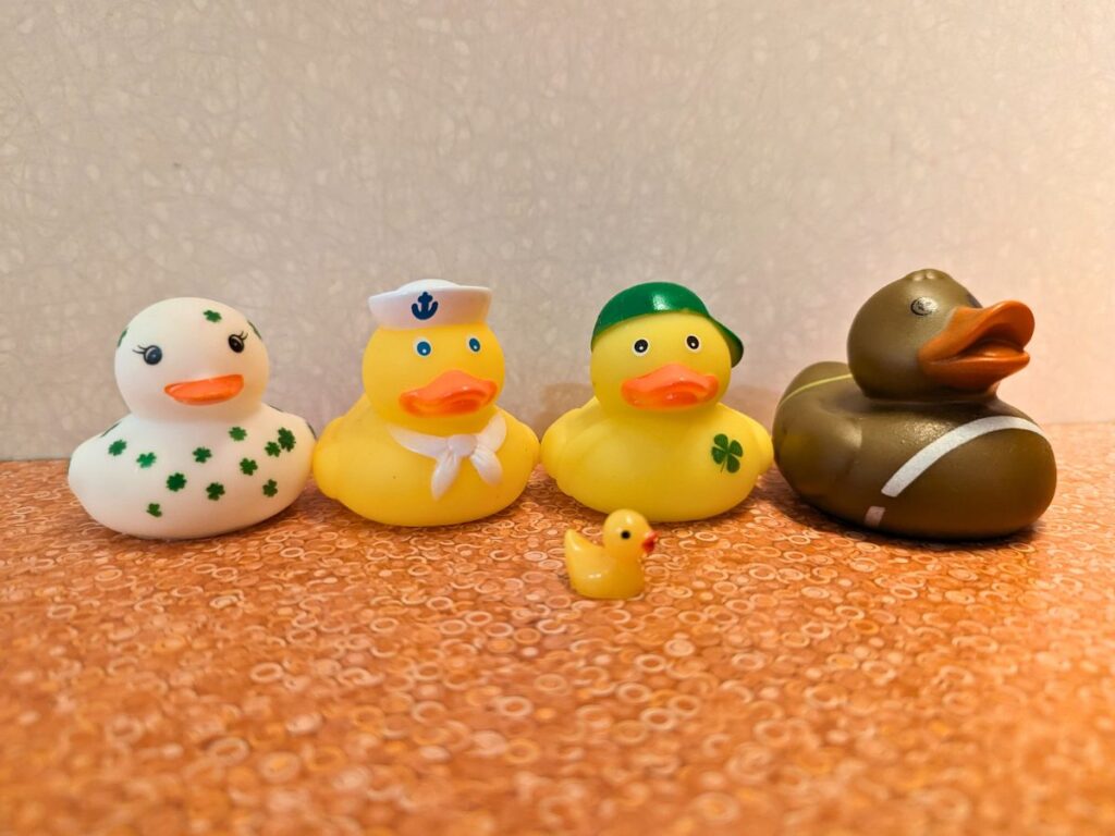 Image shows Cruising ducks on a counter.