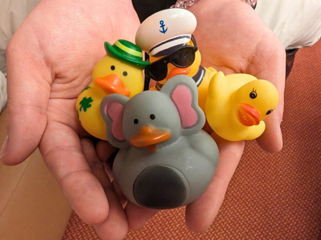 Image shows Hands cradling cruising ducks.