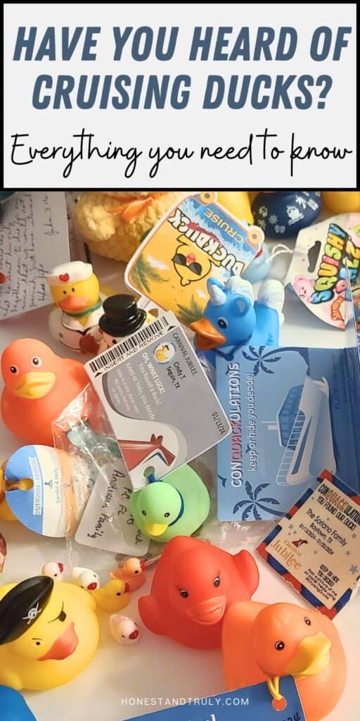 Image shows an Overhead of a jumble of ducks with text have you heard of the cruising ducks? Everything you need to know.