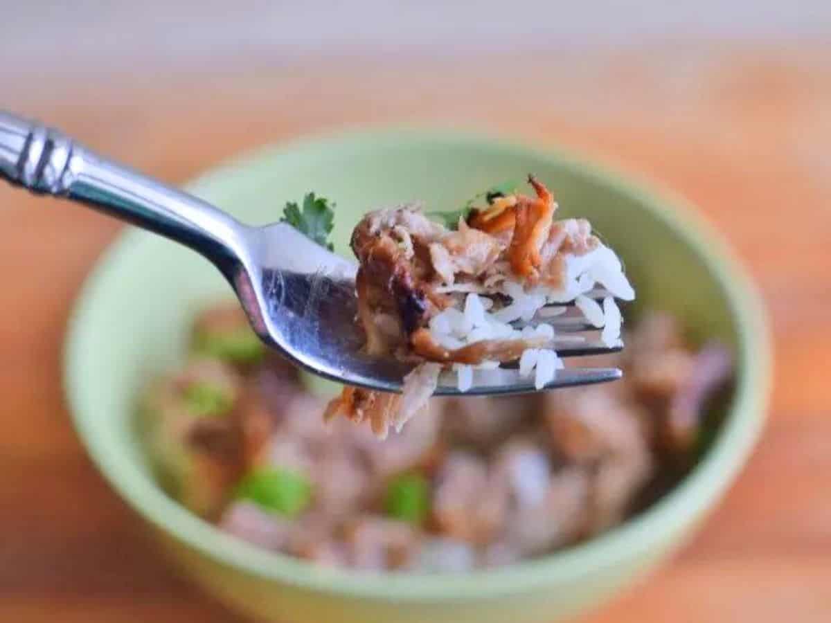 Image shows Tongs holding carnitas over a tray.
