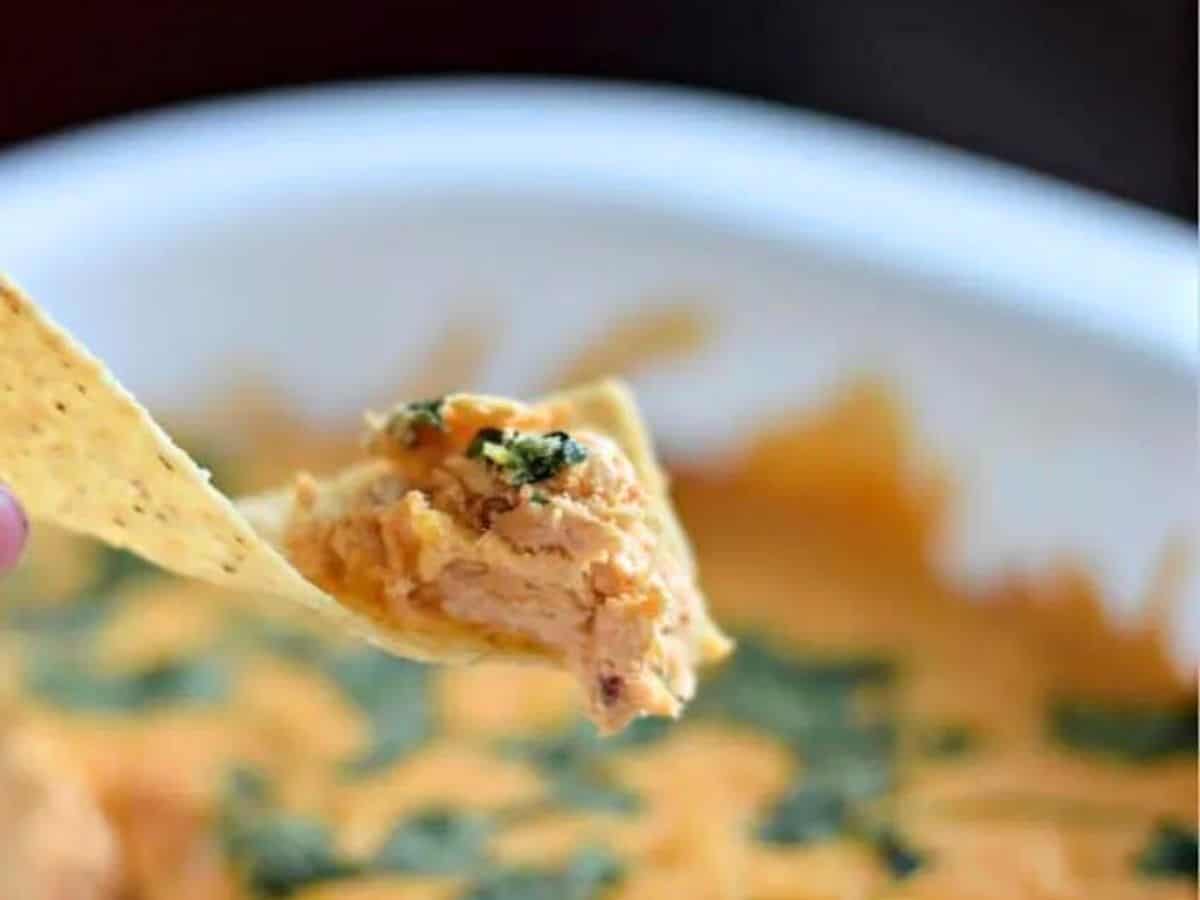 Image shows a corn chip with Chicken enchilada dip on it and the full container behind it.