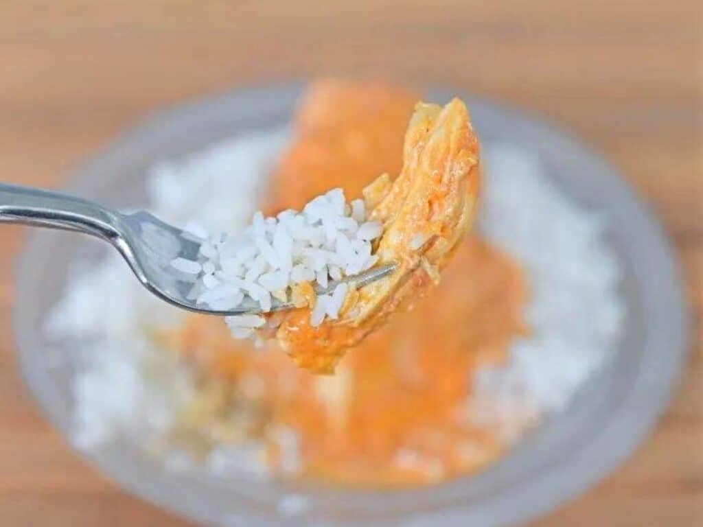 Image shows delicious bite of instant pot chicken paprikash.