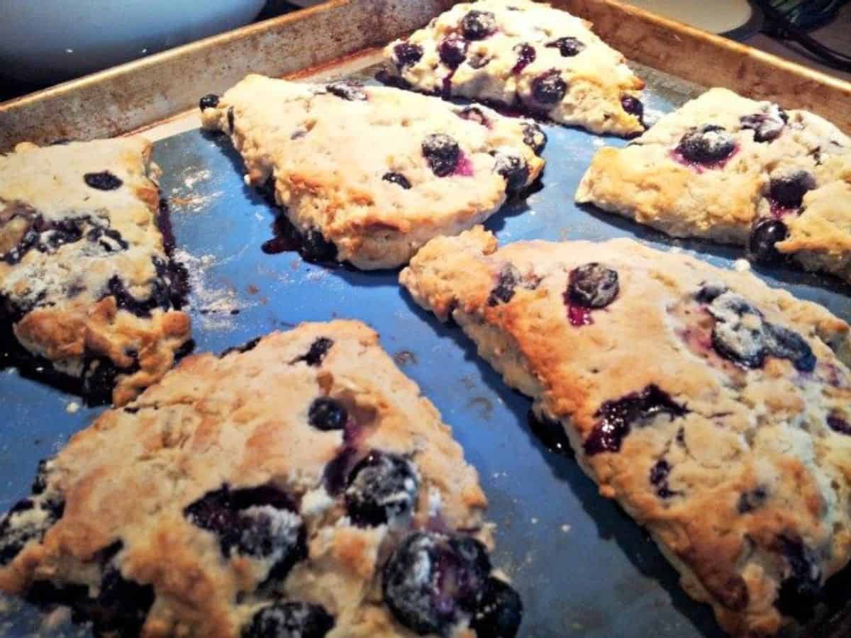Image shows a Blueberry Scone on a white plate.