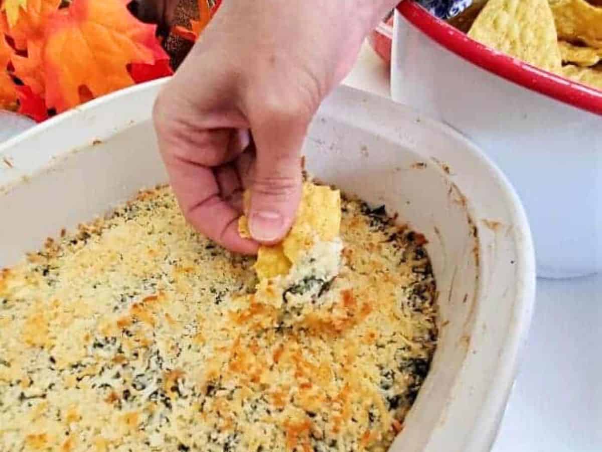This photo shows a hand scooping out baking spinach artichoke dip from a white casserole dish.
