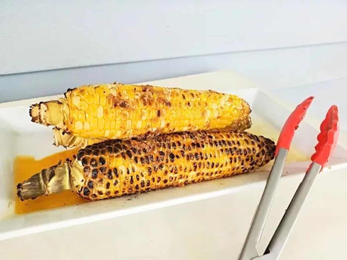 Image shows a white tray filled with chipotle grilled corn on the cob sitting on green grass.