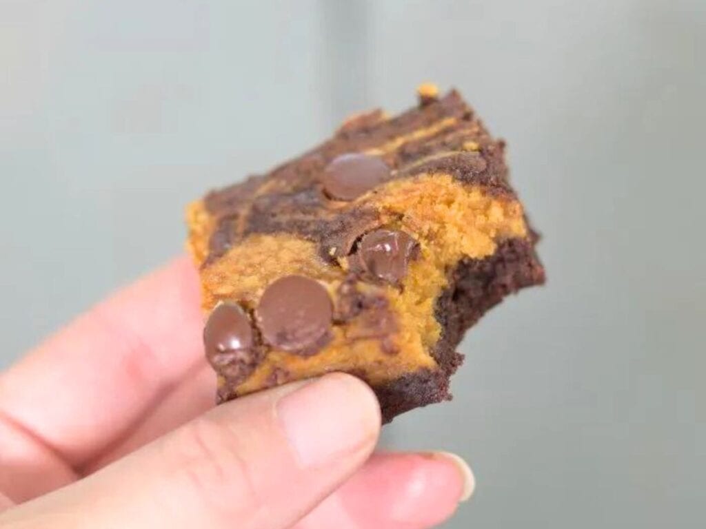 Image shows hand holding a bite of pumpkin swirl brownies.