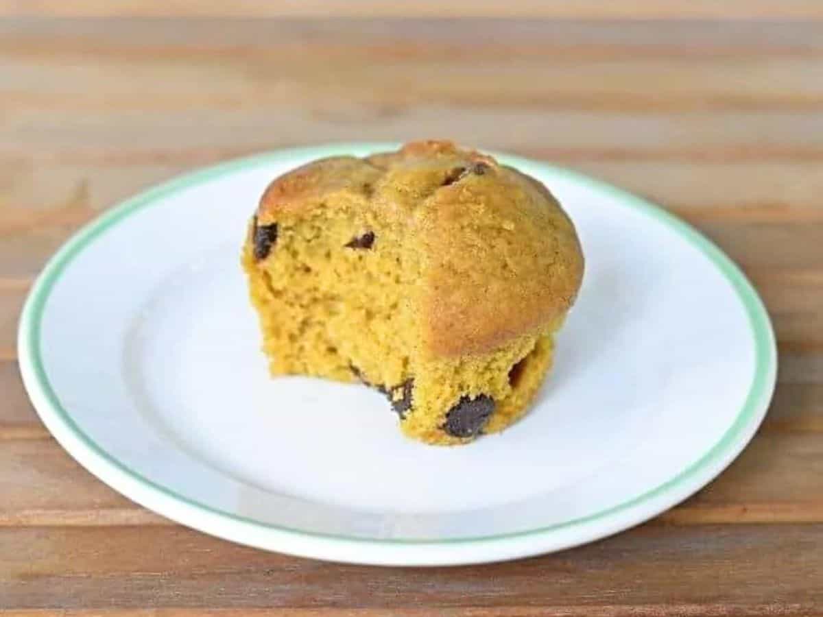 Chocolate chip pumpkin muffin missing a bite on a plate.