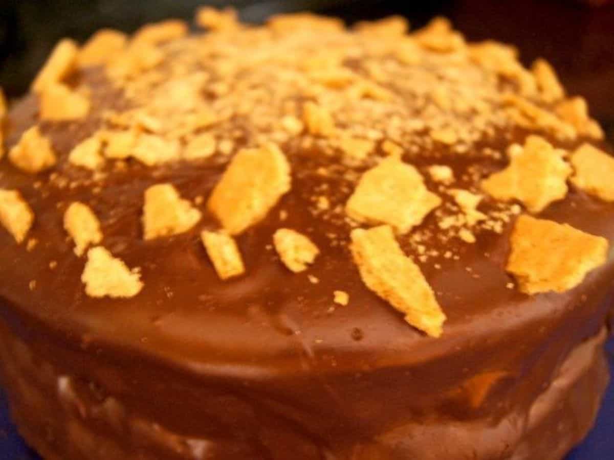 Image shows a Slice of smores cake on its side.