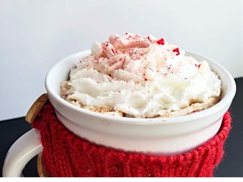 Image shows easy to make peppermint hot chocolate.