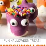 Image shows Marshmallow Monsters close up with text fun Halloween Treat: marshmallow monsters recipe.