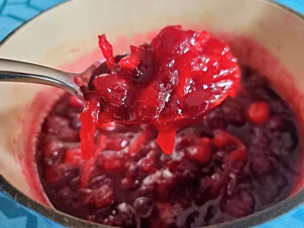 Image shows scoop of irresistible cranberry orange sauce.