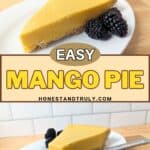 Image shows easy mango pie.