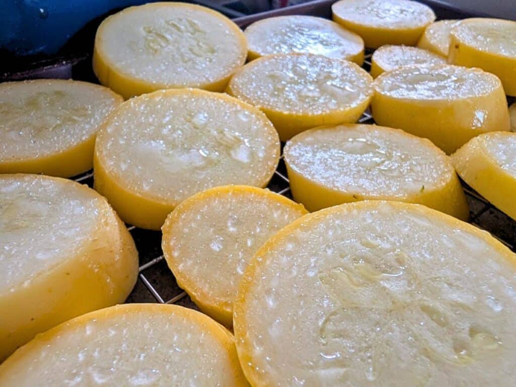 Slices of yellow squash laid out on a wire rack, glistening with moisture.
