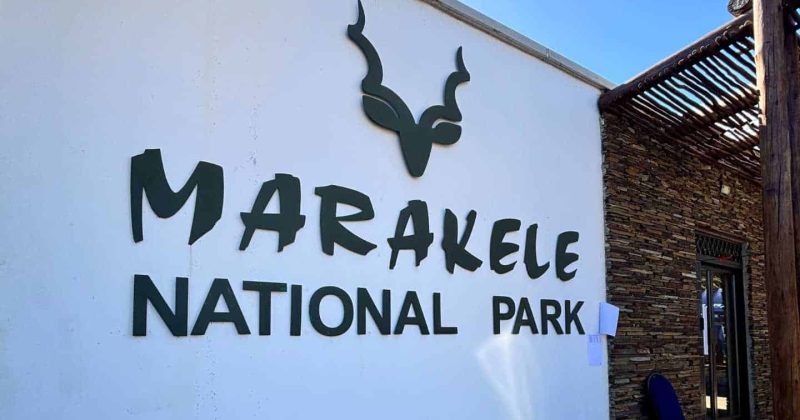 Honingcraft's World-Class Performers: Triumph at Marakele - Featured Image