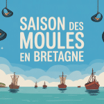 Vue côtière saison des moules Bretagne bouchots
