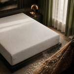 larve mites de poussière sur matelas
