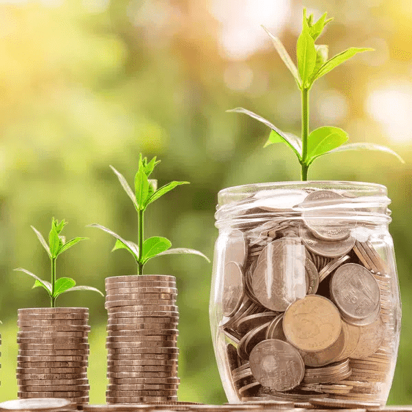 Coins in stacks with growing plant sprouting from each, symbolizing investment growth and financial opportunity in Houston EB5 programs.