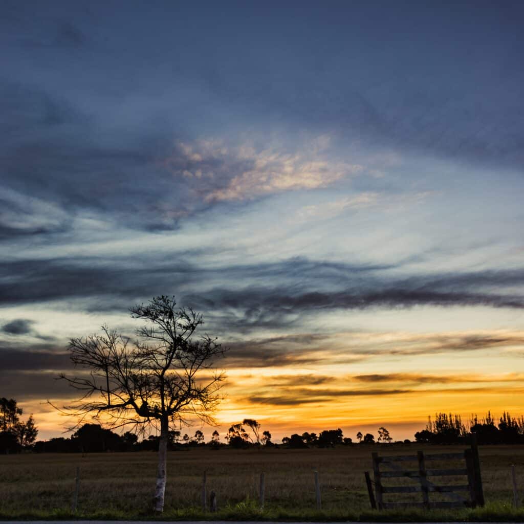 Serene sunset over open field in Houston, highlighting peaceful rural landscape ideal for EB5 investment opportunities.