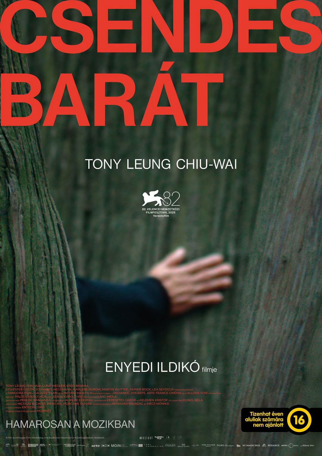 Szalai Károly 1 csendes barat poster