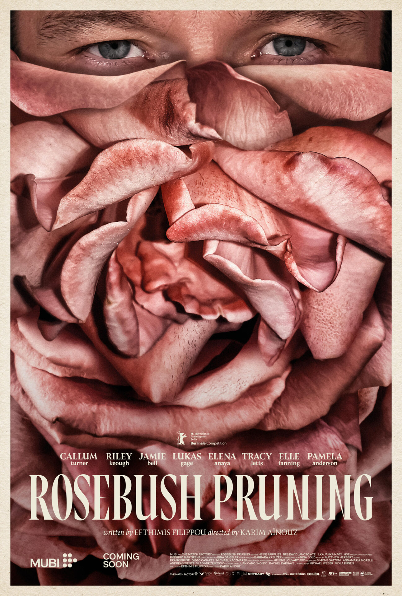 rosebush pruning poster