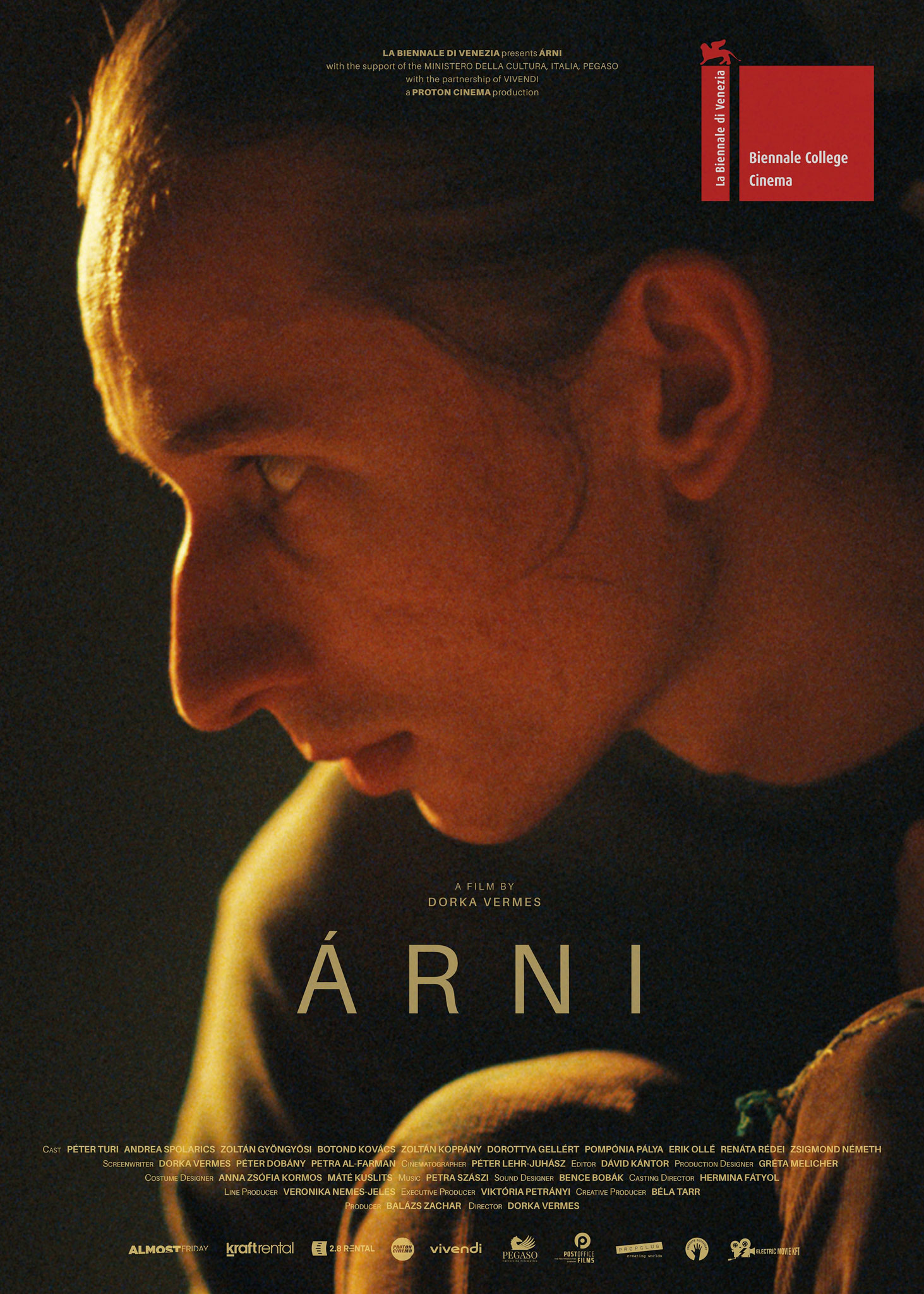 Kántor Dávid 1 arni